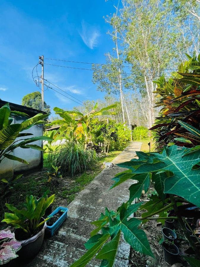 Lok Mun Bungalows 阁遥岛 外观 照片