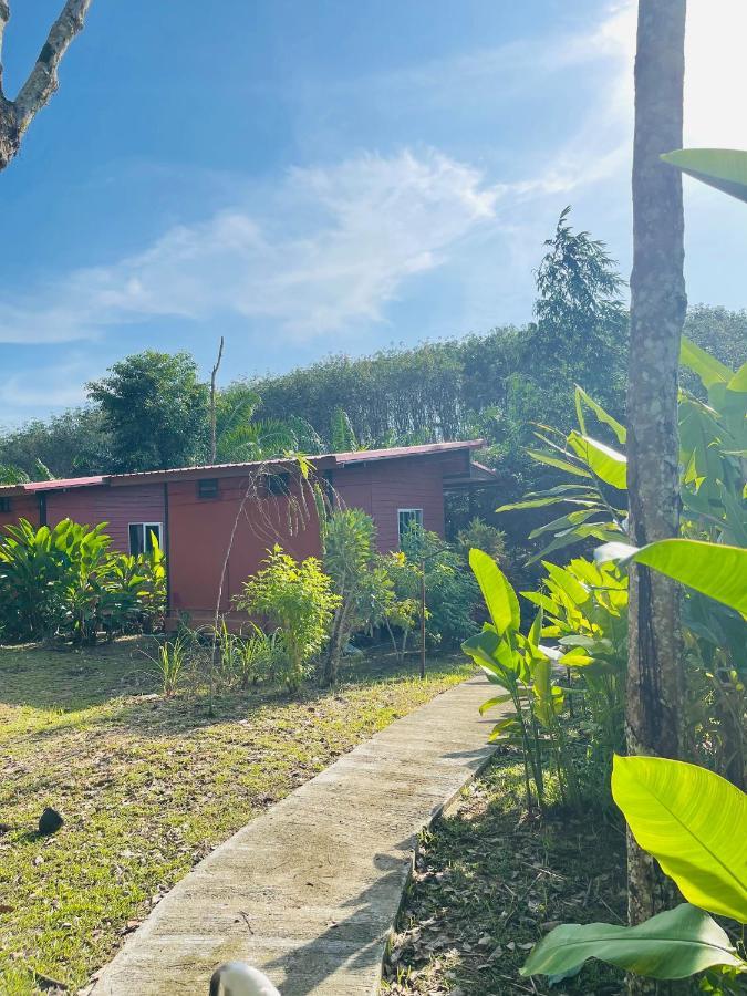 Lok Mun Bungalows 阁遥岛 外观 照片